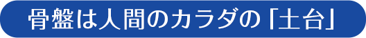 骨盤は人間のカラダの「土台」